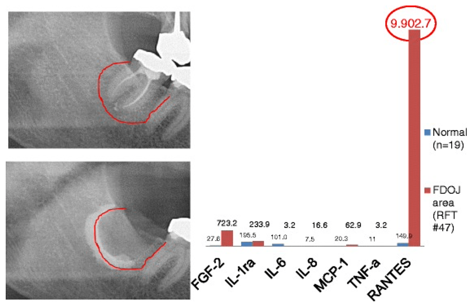 A close-up of x-ray images Description automatically generated