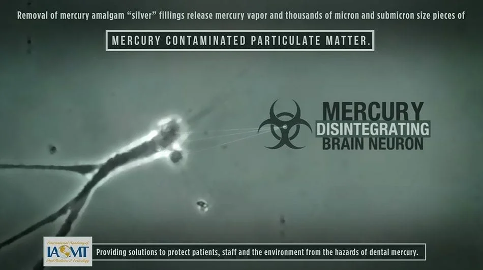 инфографика_Brain_Neurons1